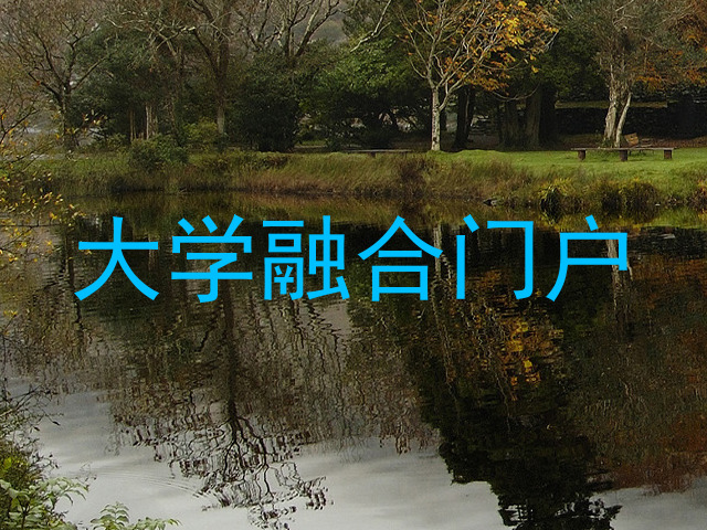 大学融合门户