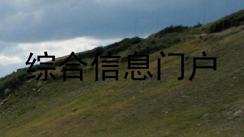 综合信息门户