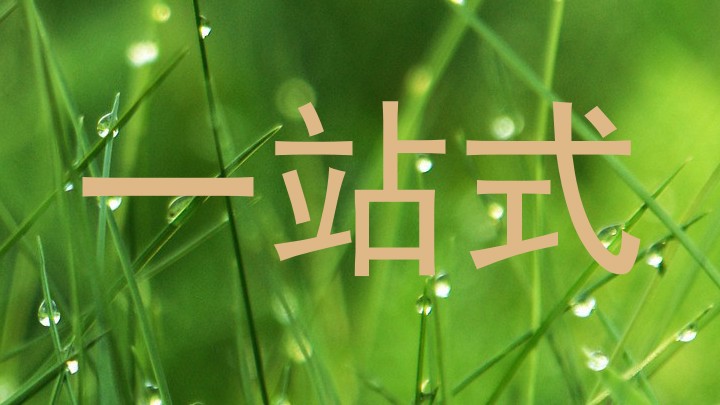 一站式