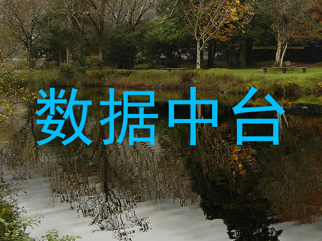 数据中台