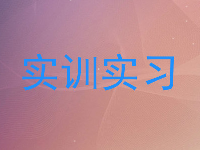 实训实习