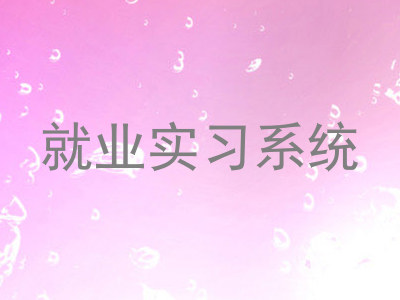 就业实习系统