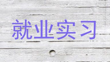 就业实习