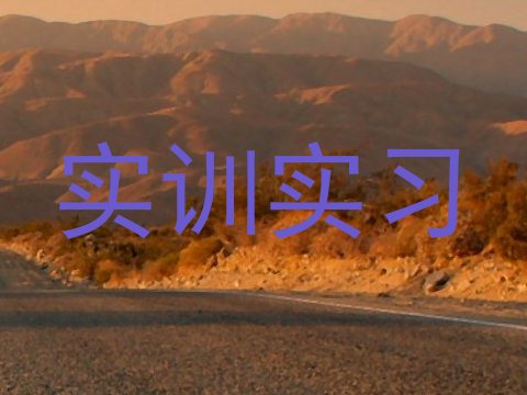 实训实习
