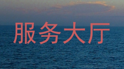 服务大厅