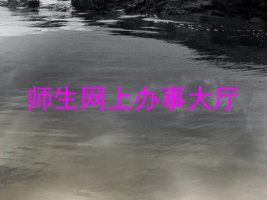 师生网上办事大厅