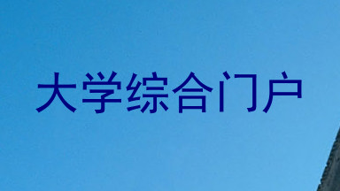 大学综合门户