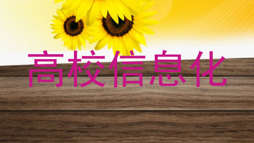 高校信息化