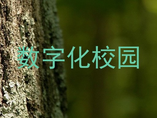 数字化校园