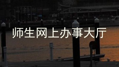 师生网上办事大厅