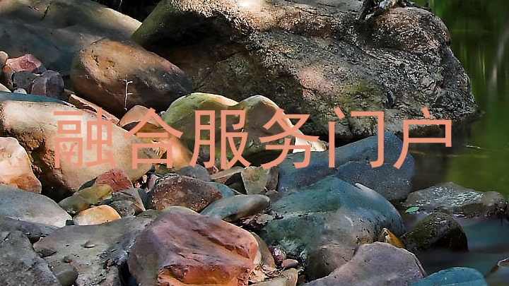 融合服务门户