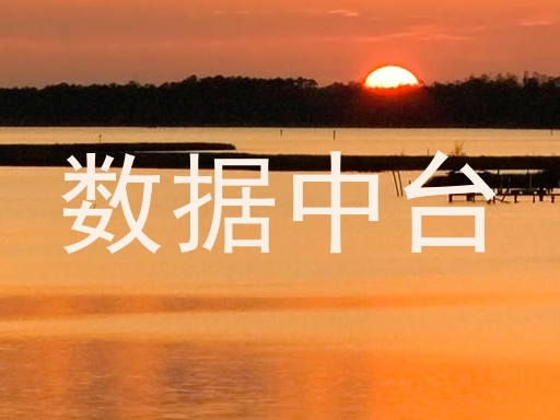 数据中台