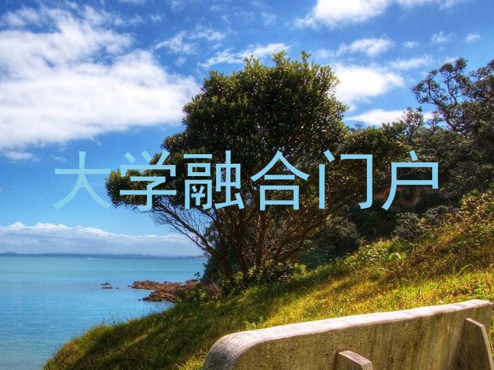 大学融合门户