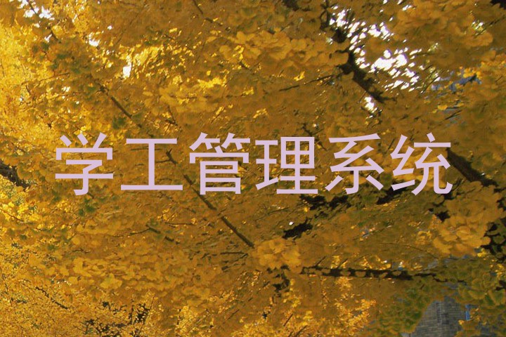 学工管理系统