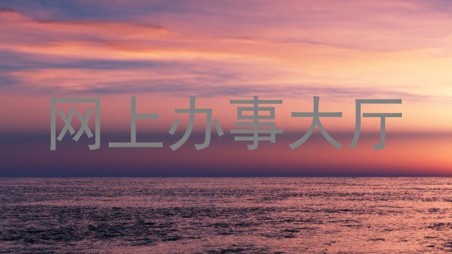 网上办事大厅