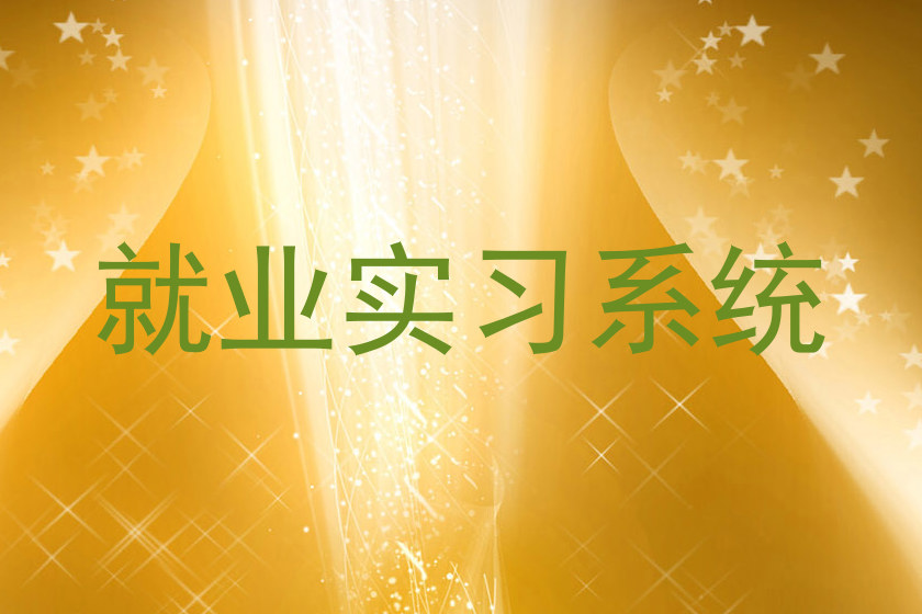 就业实习系统