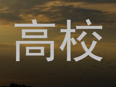 高校