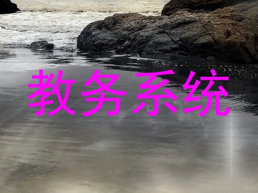 教务系统