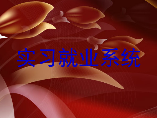 实习就业系统