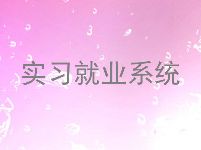 实习就业系统