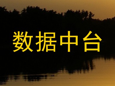 数据中台