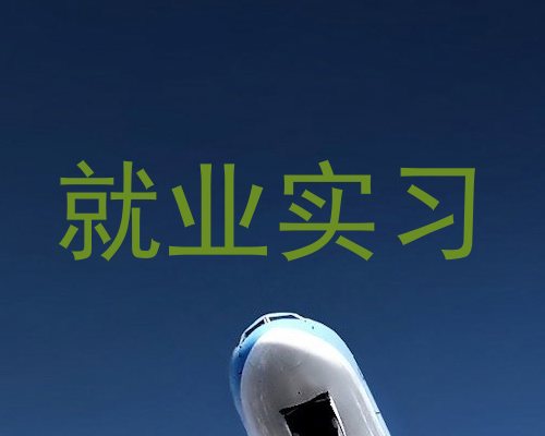 就业实习