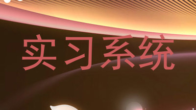 实习系统