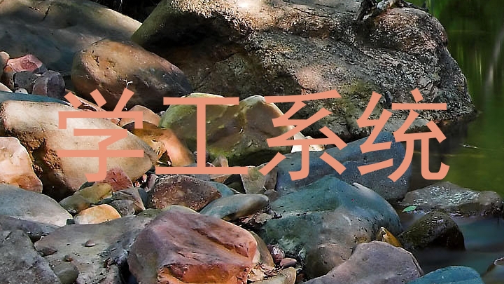 学工系统