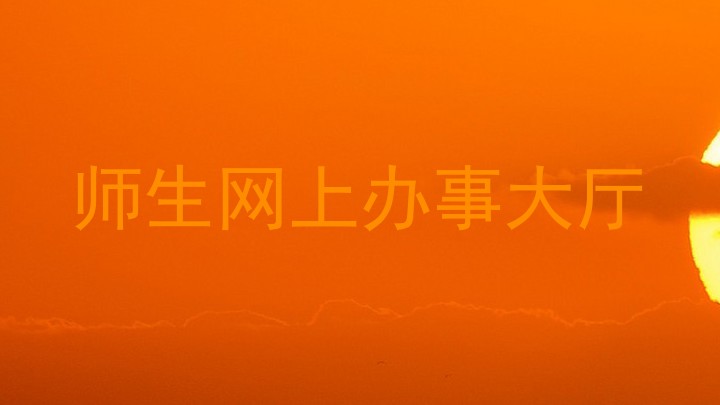 师生网上办事大厅
