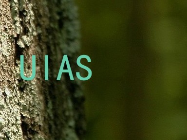 UIAS