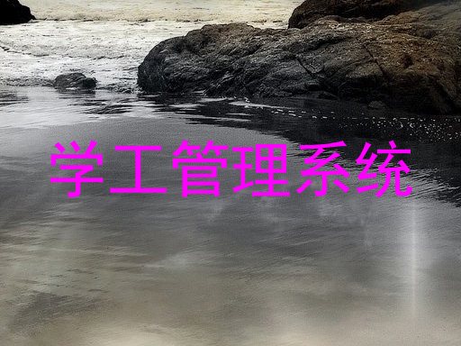 学工管理系统