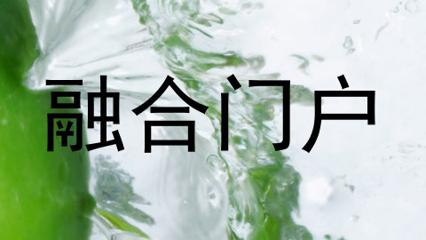 融合门户