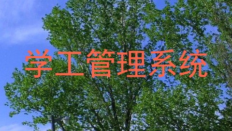 学工管理系统