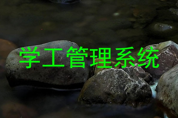 学工管理系统