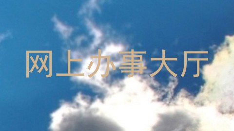 网上办事大厅