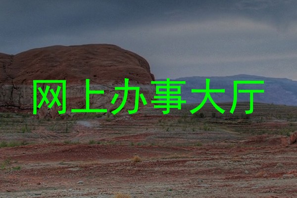 网上办事大厅