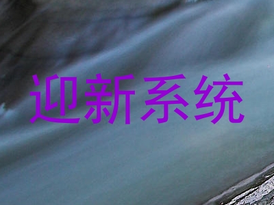 迎新系统