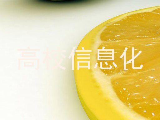 高校信息化