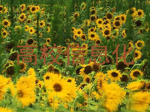 高校信息化