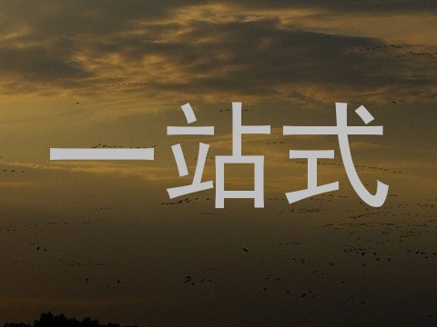一站式