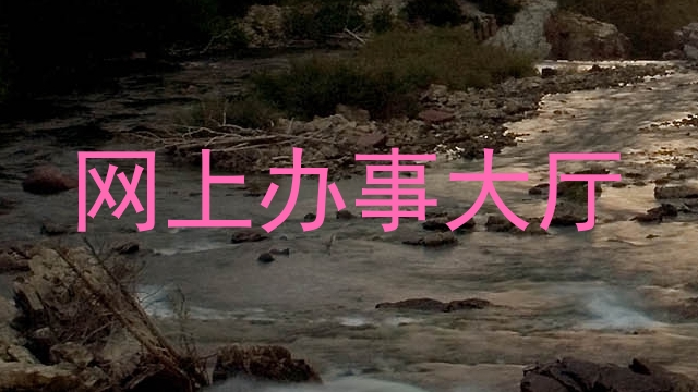 网上办事大厅