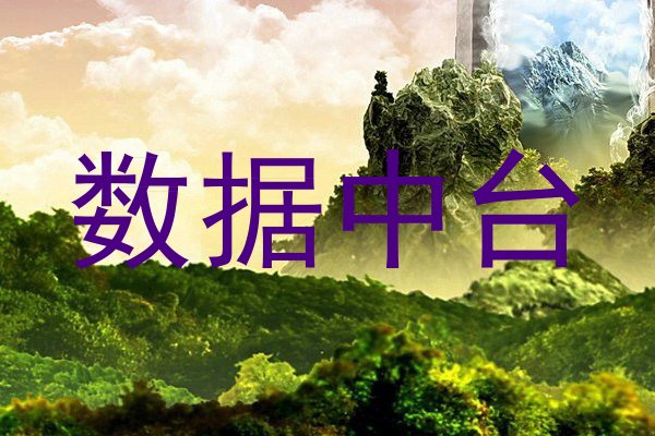 数据中台