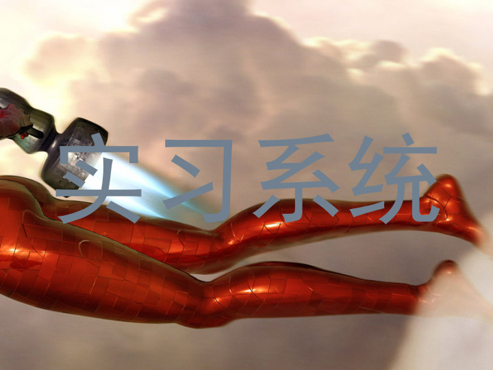 实习系统