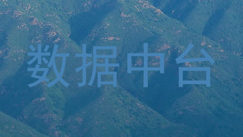 数据中台