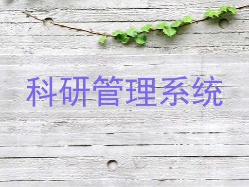 科研管理系统