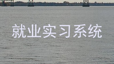 就业实习系统