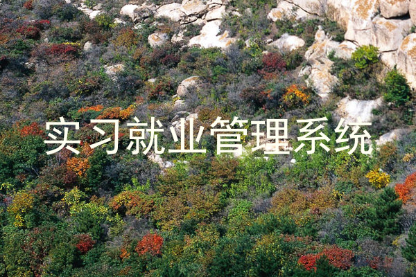 实习就业管理系统