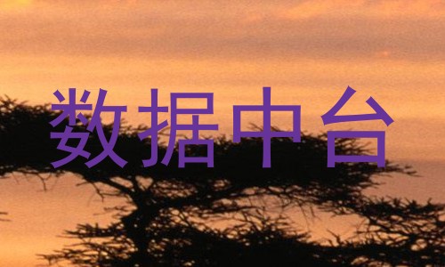 数据中台