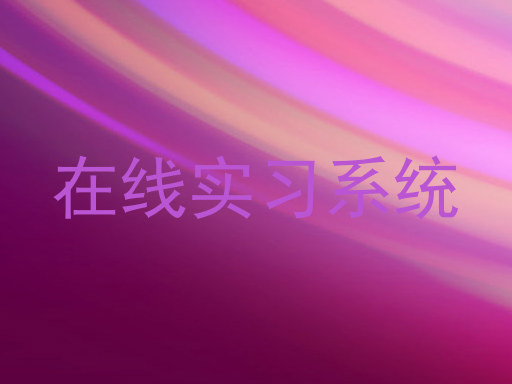 在线实习系统
