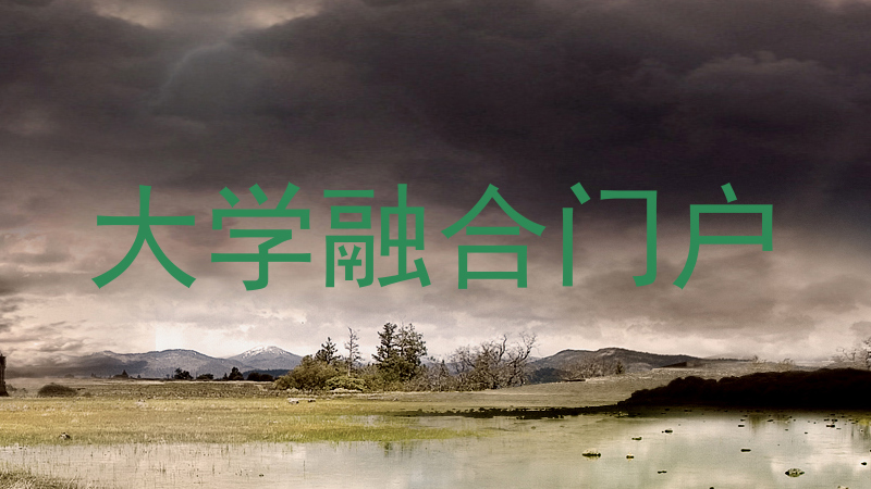 大学融合门户